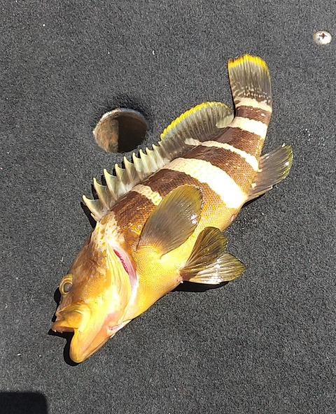 IMG_20200508_101132 (2)