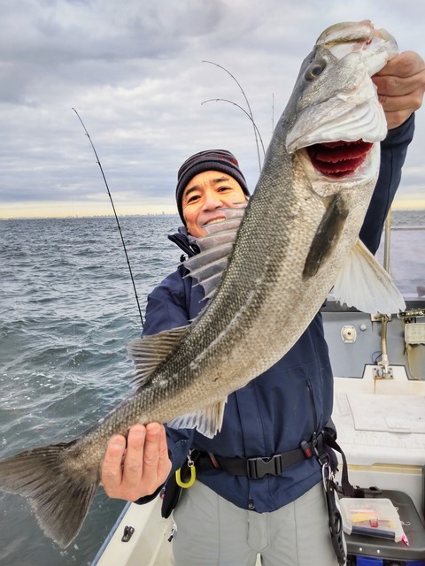 TRIPART_0001_BURST20240128091628791_COVER