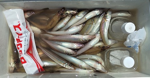 IMG_20200517_115247 (2)