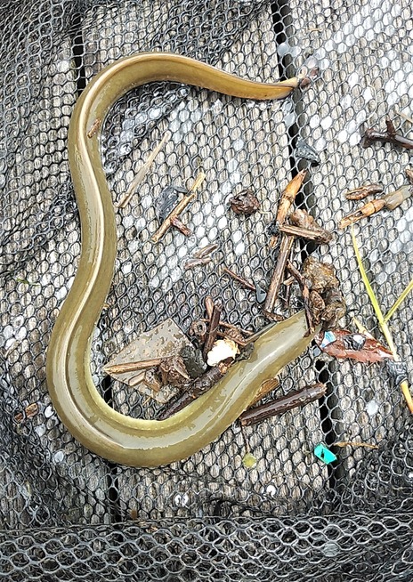 IMG_20200721_112512 (2)