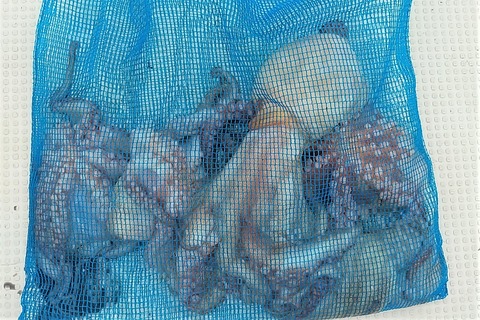 IMG_20200721_105300 (2)