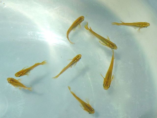 09d70f57.jpg
