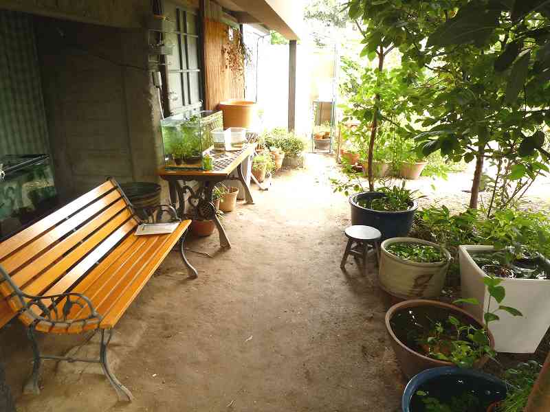 09夏のしっぽ庭ツアー まいにちビオトープ