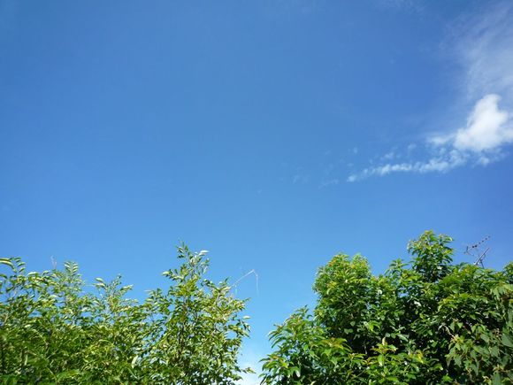 59a2510b.jpg