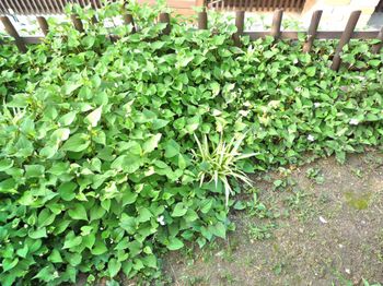 6369f2b6.jpg