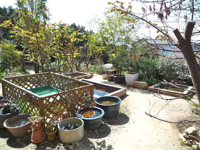 641e7383.jpg