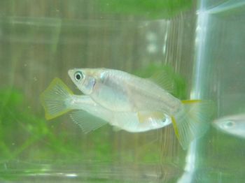 8aa171cd.jpg