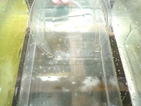 9f416fd5.jpg