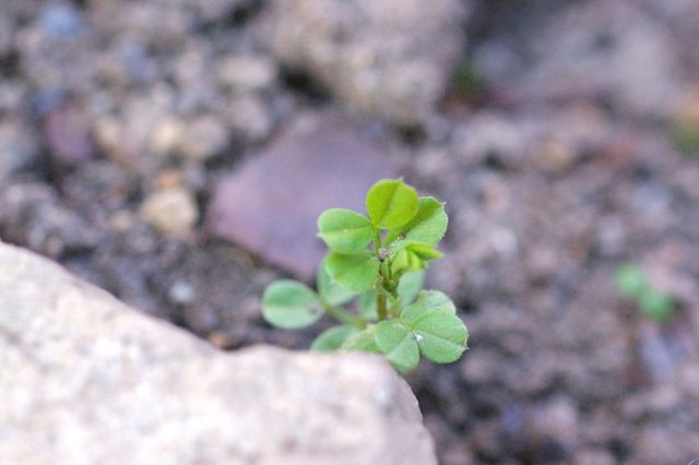 c045371c.jpg