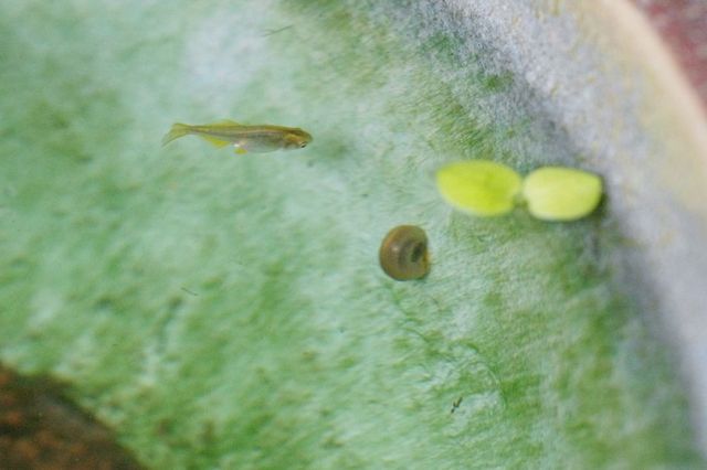 c0e0258d.jpg