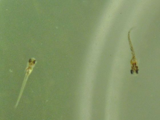 c5853e5f.jpg