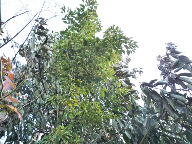 c8463763.jpg