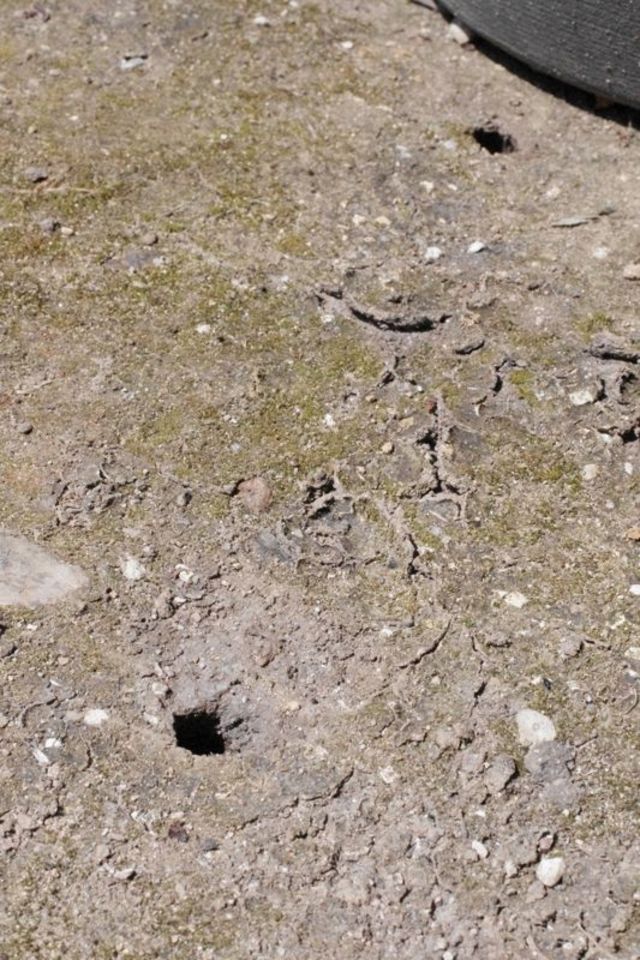 c894b937.jpg