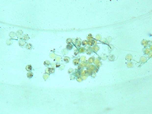 ebe42571.jpg