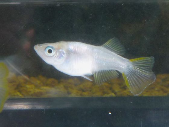 f566ddf8.jpg