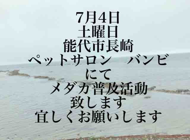 7月4日能代市にてメダカ普及活動 めだか男鹿半島 秋田 男鹿 7月4日能代市にてメダカ普及活動 めだか男鹿半島 秋田 男鹿