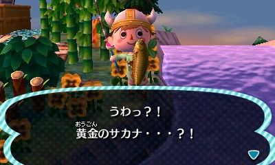 ドラドじゃダメなんですか? : * めだかと森の記録 *