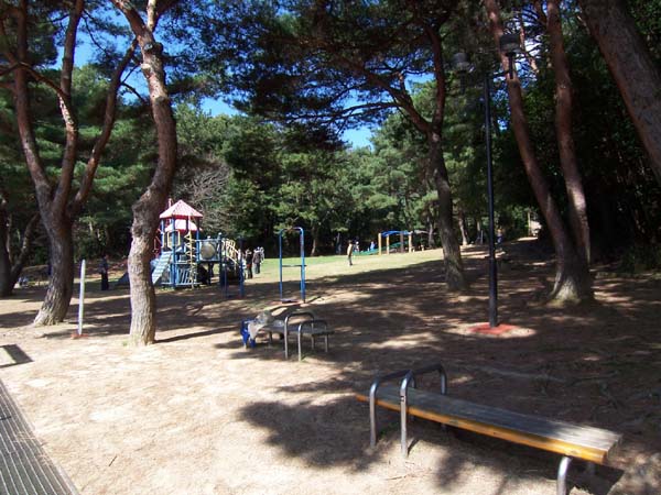 文化記念公園でウォーキング 2009年3月完成 北九州市小倉南区田原の新築