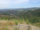 849847f6.jpg