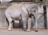 eb981a71.jpg