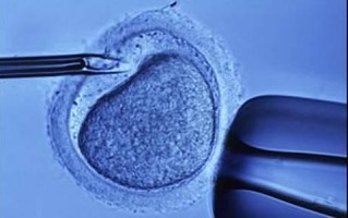 IVF_jpg_1217221c