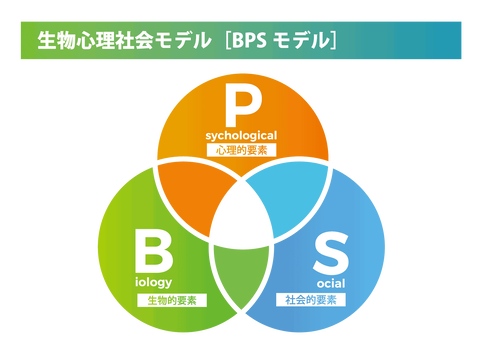 BPS_3