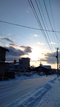 DSC_9075_20260115092437