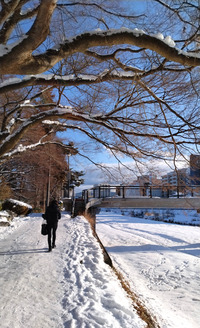 DSC_9105_20260128093543