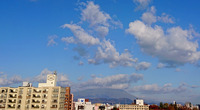 DSC_2611
