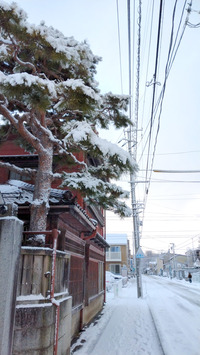 DSC_9067_20260109091118