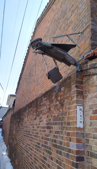 DSC_9122_20260212092516