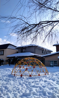 DSC_9117_20260203093820