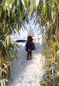 DSC_9100_20260122093041