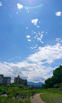 DSC_5528