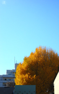 okebet99 salesforce.com momentum terus grabwin slot online