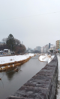 DSC_9117_20260205092714