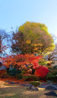 maxpro88 Winter bo juga keluar, mau beli yang baru? --Periksa router LAN nirkabel 11n terlaris untuk smartphone dan tablet rumahan (minggu ke-4 November 2012) w88 online