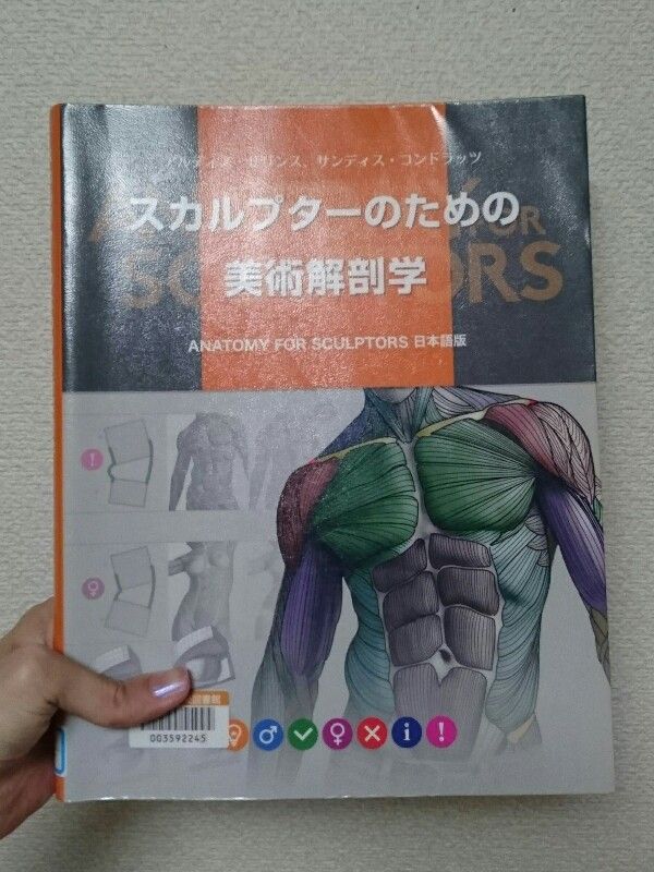 スカルプターのための美術解剖学 レビュー 商品紹介 フィギュア作る日記 スカルプターのための美術解剖学 レビュー 商品紹介 フィギュア作る日記