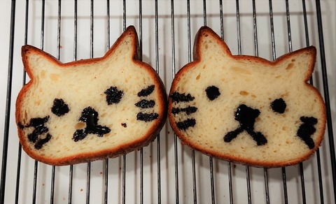 DSC_0207 (2019-07-01T06_35_26.000)