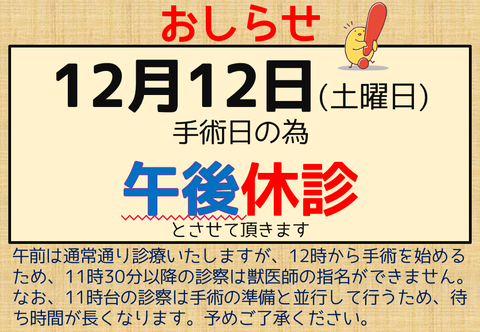 203_休診_午後_手術日