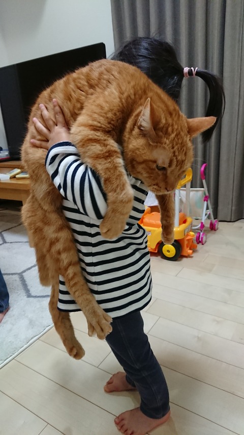 DSC_0243 - コピー