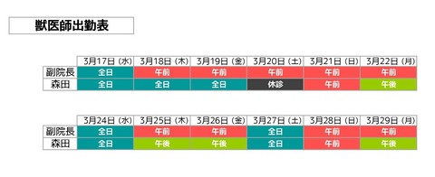 獣医師出勤表3月_pa001