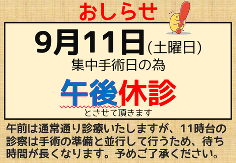 203_休診_午後_手術日