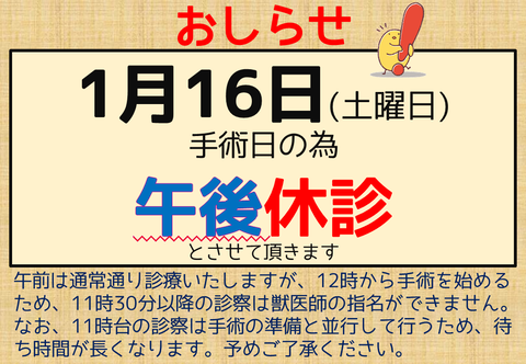 203_休診_午後_手術日