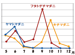 ダニピーク