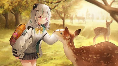 images (31)