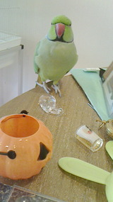 2014082406210000