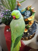 IMG_20260110_072637250