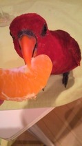 2011021720380001