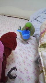 2011032207430001